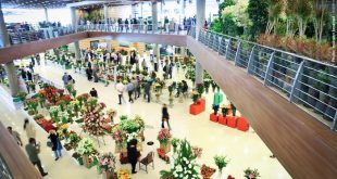 Téhéran: 17e foire internationale des fleurs et des plantes a ouvert ses portes
