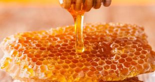 L'Iran, troisième plus grand producteur mondial de miel