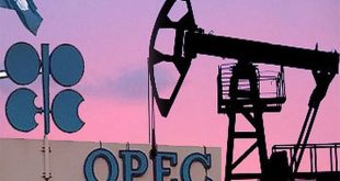 L’OPEP confirme l’effondrement de la demande de pétrole, « un choc extrême et brutal »