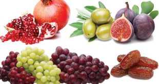 La Directrice général du bureau iranien des fruits tropicaux et semi-tropicaux, Zahra Jalili Moqaddam, a fait part de l'exportation, l’année civile dernière, de 620 000 tonnes de produits tropicaux et semi-tropicaux d'une valeur d'environ 500 millions de dollars.