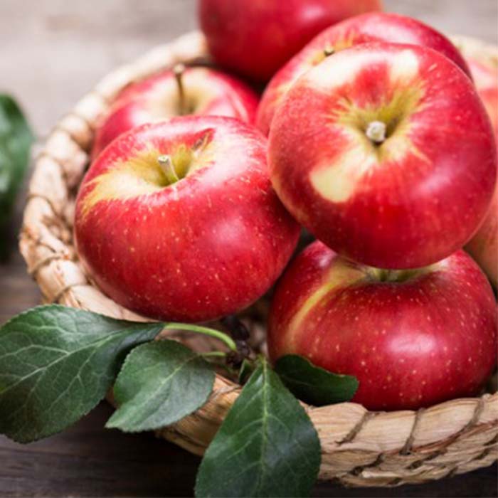 L'Iran, cinquième grand producteur de pommes dans le monde