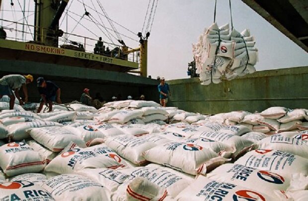 گمرک ایران با اشاره به کاهش ۶۹ درصدی واردات برنج، خواستار بازنگری در ممنوعیت فصلی واردات برنج به منظور جلوگیری از کمبود یا افزایش قیمت این کالای اساسی در ماه های آتی شد.